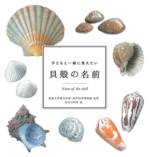 子どもと一緒に覚えたい 貝殻の名前 東海大学海洋学部 海洋科学博物館 マイルスタッフ インプレス ソニーの電子書籍ストア Reader Store