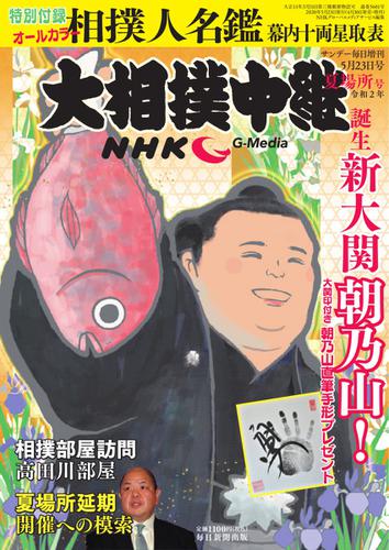 NHK大相撲中継 (夏場所号)