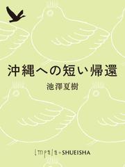 沖縄への短い帰還