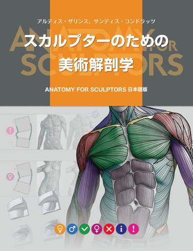 スカルプターのための美術解剖学