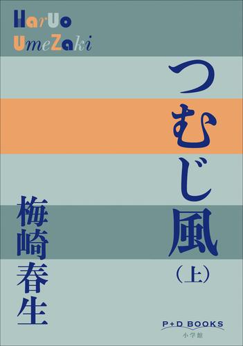 P＋D　BOOKS　つむじ風（上）