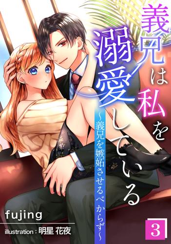 義兄は私を溺愛している～義兄を嫉妬させるべからず～（３）