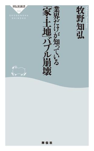 業界だけが知っている　「家・土地」バブル崩壊