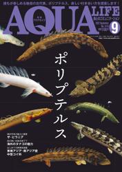 アクアライフ (2022年9月号)