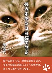 佐々木テンコは猫ですよ