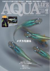 アクアライフ (2022年11月号)