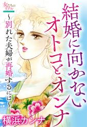 結婚に向かないオトコとオンナ～別れた夫婦が再婚するには～