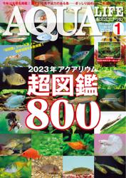アクアライフ (2023年1月号)