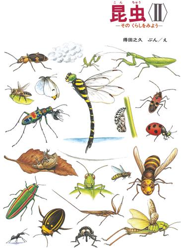 昆虫 ＜II＞