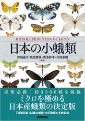 日本の小蛾類