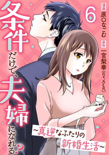 条件だけで、夫婦になれる?～真逆なふたりの新婚生活～ 6巻