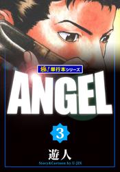 ANGEL【極！単行本シリーズ】3巻