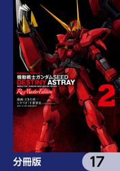 機動戦士ガンダムSEED DESTINY ASTRAY Re: Master Edition【分冊版】　17