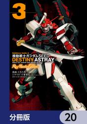 機動戦士ガンダムSEED DESTINY ASTRAY Re: Master Edition【分冊版】　20