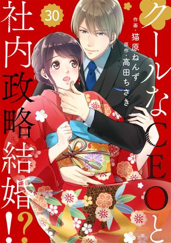 comic Berry’sクールなCEOと社内政略結婚!?30巻
