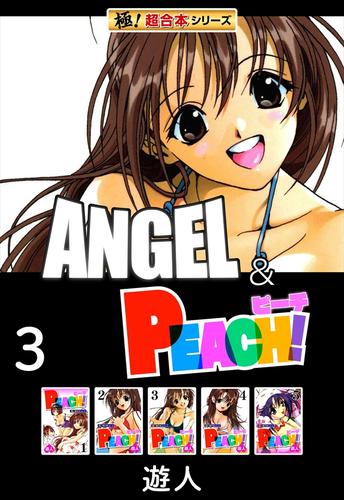 【極！超合本シリーズ】ANGEL＆PEACH3巻
