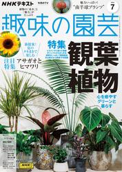 NHK 趣味の園芸 (2024年7月号)