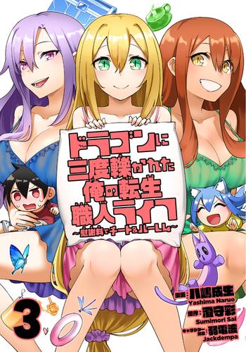 ドラゴンに三度轢かれた俺の転生職人ライフ～慰謝料（スキル）でチート＆ハーレム～【単行本版】【特典付き】 3