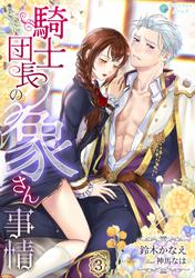 騎士団長の象さん事情