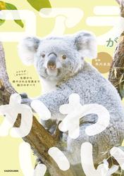 コアラがかわいい　生態から癒やされる写真まで魅力のすべて
