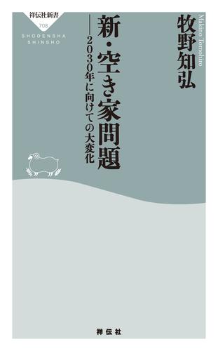 新・空き家問題　――２０３０年に向けての大変化