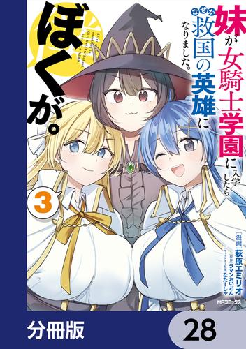 妹が女騎士学園に入学したらなぜか救国の英雄になりました。ぼくが。【分冊版】　28