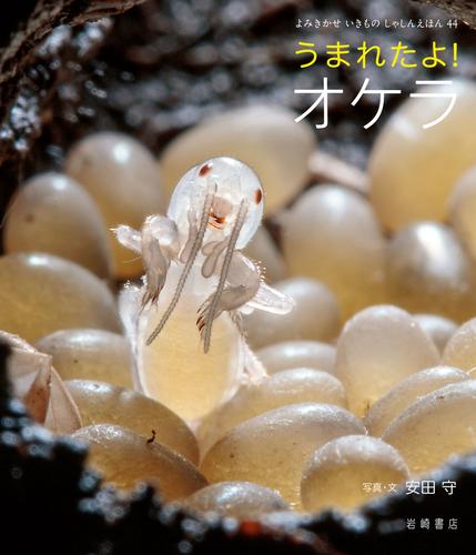 うまれたよ！ オケラ