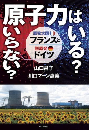 原子力はいる？ いらない？ 原発大国フランスと脱原発ドイツ