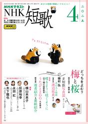 NHK 短歌 (2025年4月号)