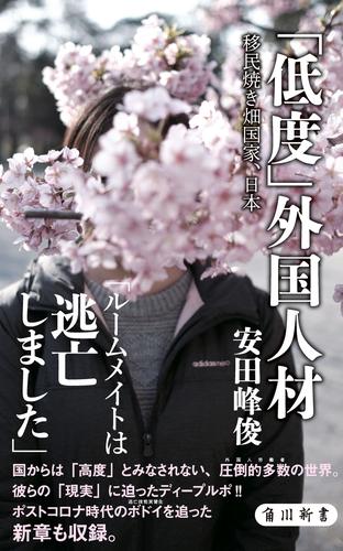 「低度」外国人材　移民焼き畑国家、日本
