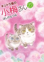 キジトラ猫の小梅さん