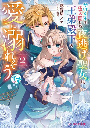 やけくそで密入国した夜逃げ聖女は、王弟殿下の愛に溺れそうです 2【電子特典付き】