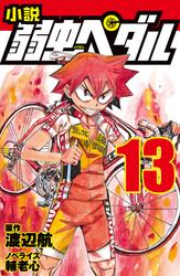 小説 弱虫ペダル １