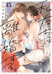 私たちは離婚する。深く、甘く、繋がって…(15)