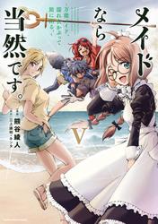 メイドなら当然です。　～万能メイド、濡れ衣かぶって旅に出る。～