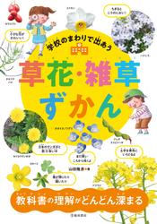 学校のまわりで出あう 草花・雑草ずかん（池田書店）