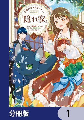 王都の行き止まりカフェ『隠れ家』 ～うっかり魔法使いになった私の店に筆頭文官様がくつろぎに来ます～【分冊版】　1