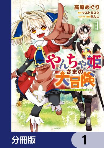 やんちゃ姫さまの大冒険　うちの第三王女、冒険者になるってよ【分冊版】　1
