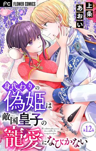 身代わりの偽姫は敵国皇子の寵愛になびかない【マイクロ】（１２）