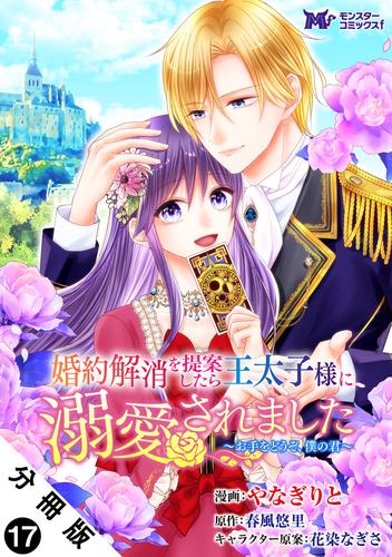 婚約解消を提案したら王太子様に溺愛されました ～お手をどうぞ、僕の君～（コミック） 分冊版 ： 17