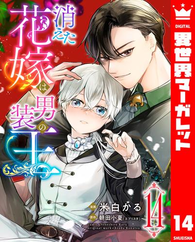 消えた花嫁は男装の王 14