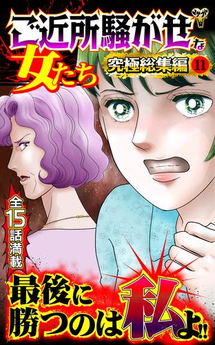 ご近所騒がせな女たち究極総集編 11
