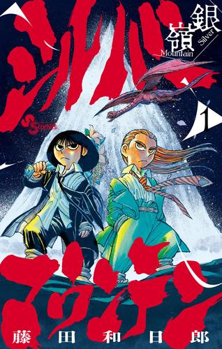 シルバーマウンテン（１）