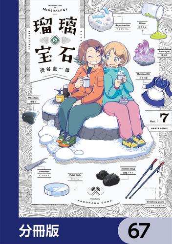 瑠璃の宝石【分冊版】　67