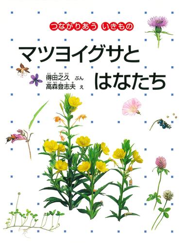 マツヨイグサとはなたち