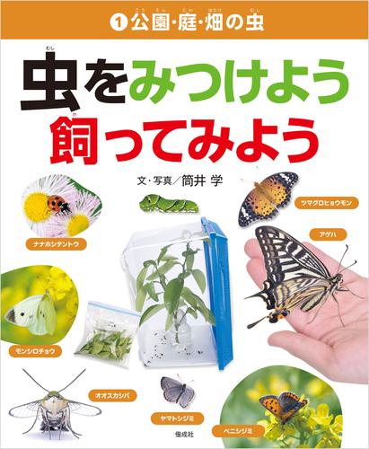 公園・庭・畑の虫