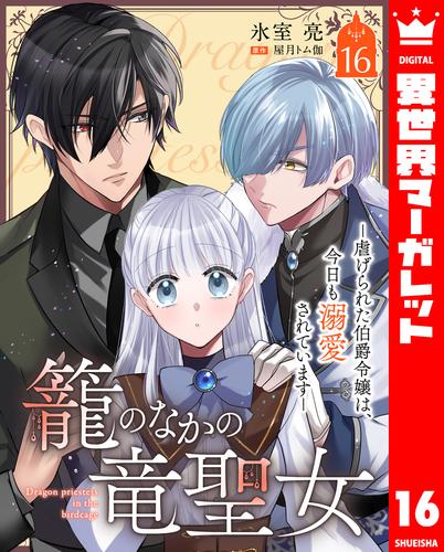 籠のなかの竜聖女 ―虐げられた伯爵令嬢は、今日も溺愛されています― 16