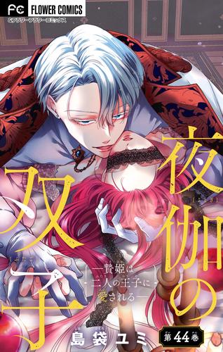 夜伽の双子―贄姫は二人の王子に愛される―【マイクロ】（４４）