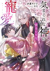 気まぐれな神の罰当たりな寵愛