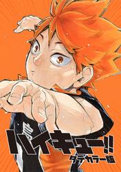 ハイキュー!! タテカラー版